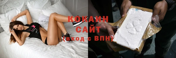 прущие грибы Хотьково