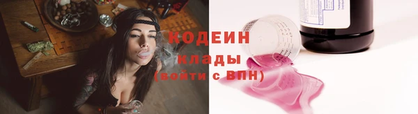 тгк Снежинск