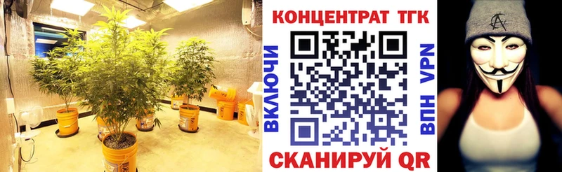 где купить наркотик  OMG   Дистиллят ТГК вейп  Валдай 